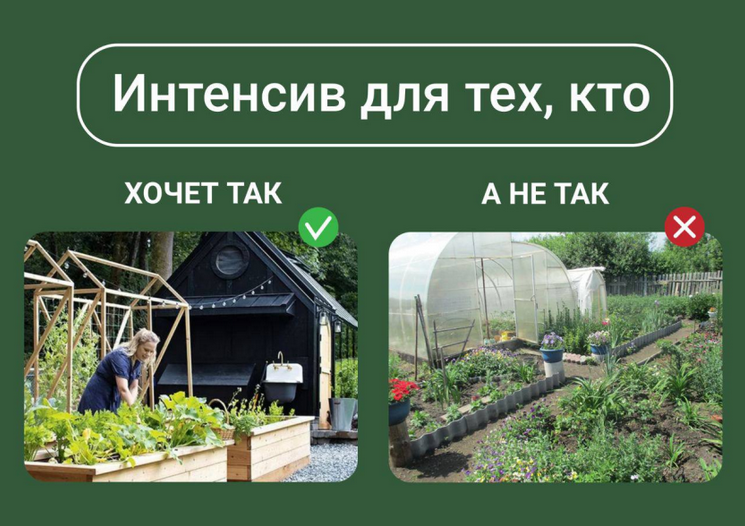 [Марина Берестова] Дизайн современного огорода (20_0.png